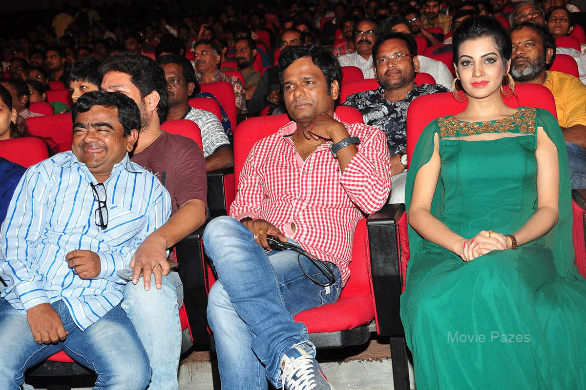 banthi-poola-janaki-movie-audio-launch